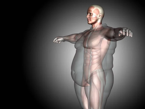 3D ілюстрація жиру надмірна вага проти тонкої — стокове фото