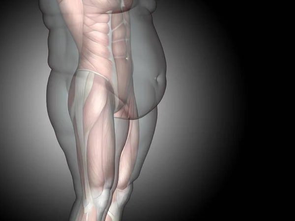 Ilustración 3D gordo sobrepeso vs delgado — Foto de Stock