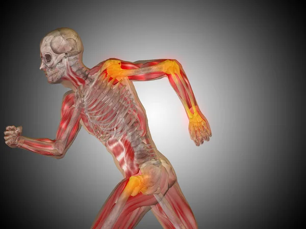 Modelo de anatomía humana corriendo — Foto de Stock
