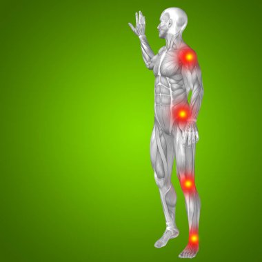 Anatomi vücut kas ile