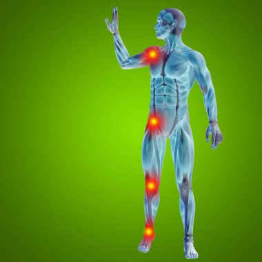 insan vücudu anatomisi ile eklem veya kemik ağrısı