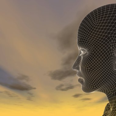 günbatımı gökyüzü karşı kadın kafasını tel kafes