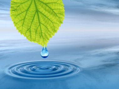 yaprağın yeşil yaprak düşüyor