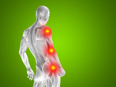 erkek üst vücudu anatomisi