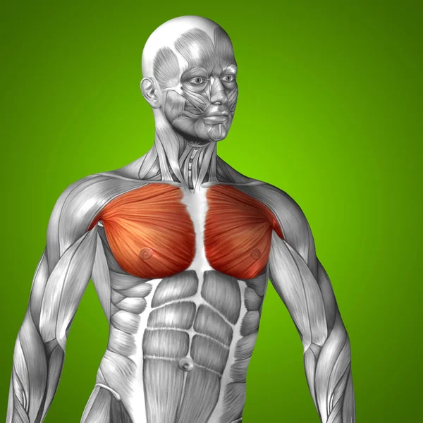 Search Images on Everypixel Biology Diagrams