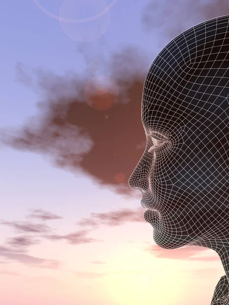 günbatımı gökyüzü karşı kadın kafasını tel kafes