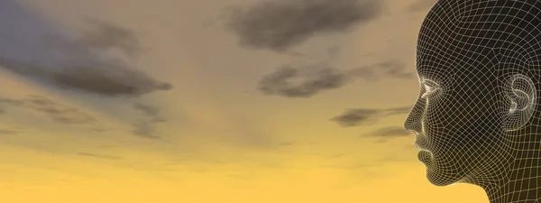 Cableado cabeza femenina contra el cielo puesta del sol —  Fotos de Stock
