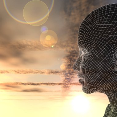 günbatımı gökyüzü karşı kadın kafasını tel kafes