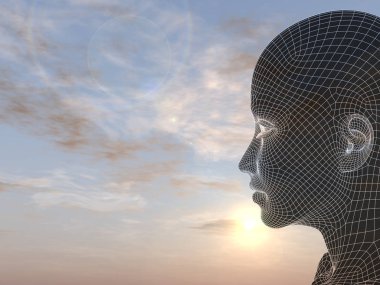 günbatımı gökyüzü karşı kadın kafasını tel kafes