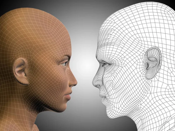 wireframe male and female heads