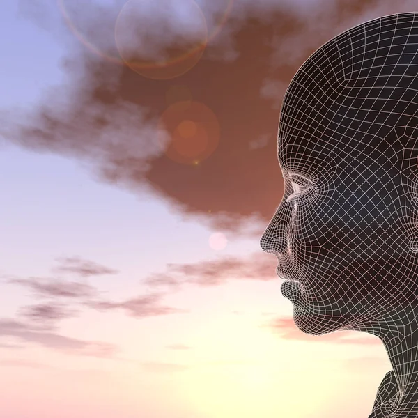 günbatımı gökyüzü karşı kadın kafasını tel kafes