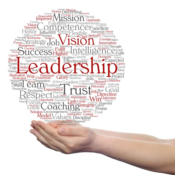 liderlik kelime bulutu 