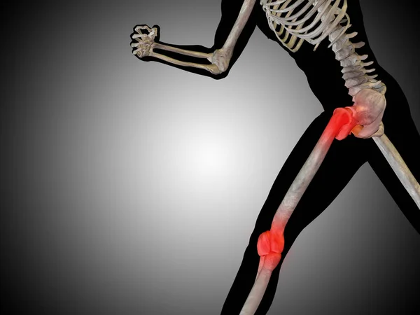 Anatomie des menschlichen Körpers — Stockfoto