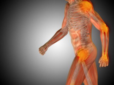 insan anatomisi tasarım