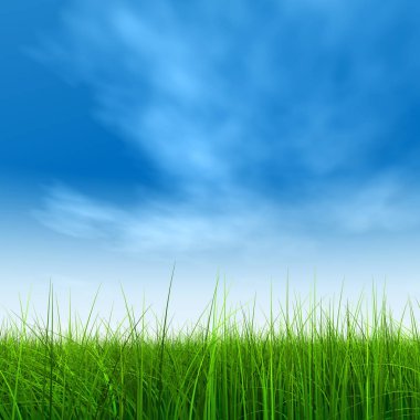 yeşil alan veya çim ve mavi gökyüzü