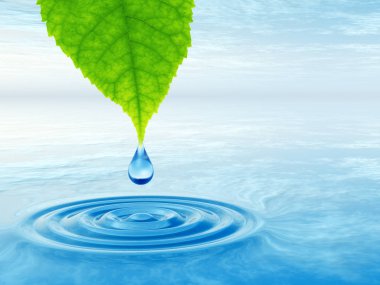  Yeşil taze yaprak düşüyor bırak 