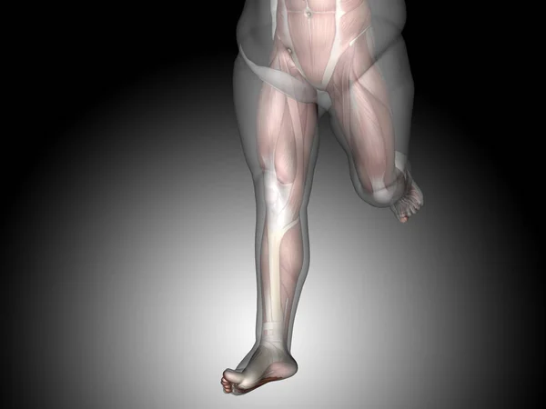 Şişman kilolu vs ince adam — Stok fotoğraf