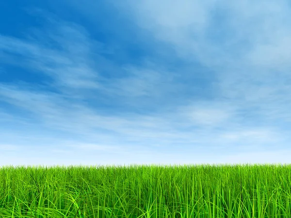 Campo verde ou gramado e céu azul — Fotografia de Stock