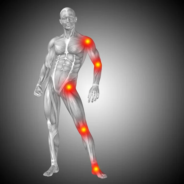 Menselijke anatomie lichaam — Stockfoto