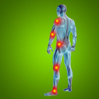 insan anatomisi vücut eklem ağrısı ile
