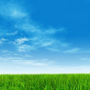 yeşil alan veya çim ve mavi gökyüzü