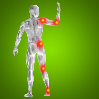 insan anatomisi vücut eklem ağrısı ile