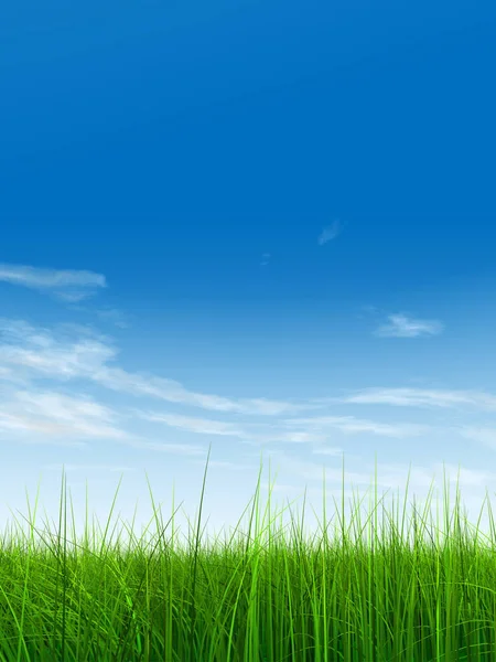 Campo verde o césped y cielo azul — Foto de Stock