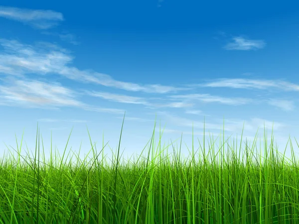 Campo verde o césped y cielo azul — Foto de Stock