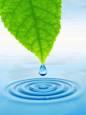  Yeşil taze yaprak düşüyor bırak 