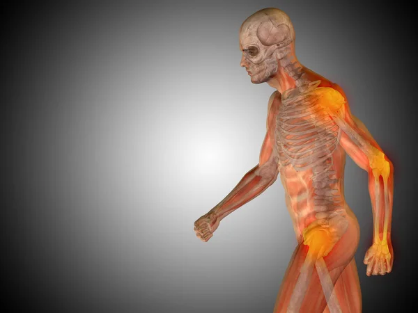 Design anatomico umano — Foto Stock