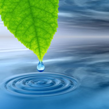 Düşen temiz bahar su damlası