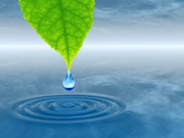 Düşen temiz bahar su damlası