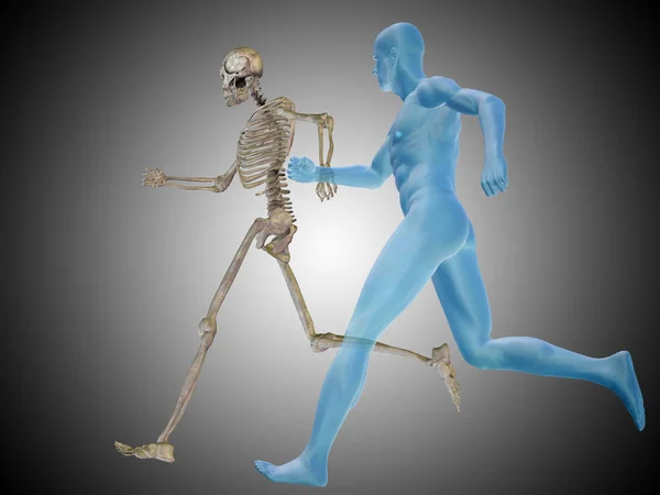 Human with bones for anatomy — Stock Photo, Image