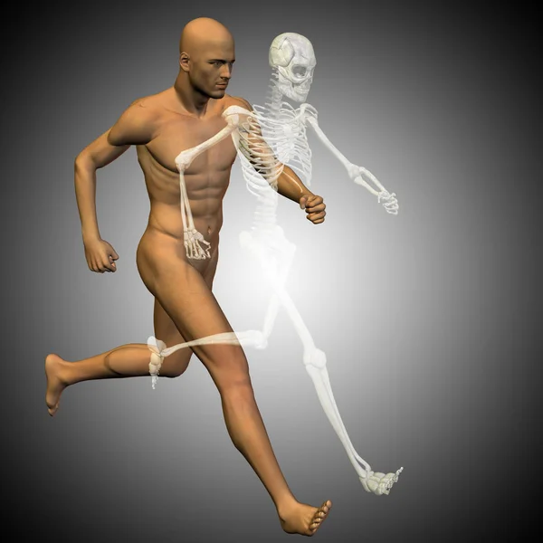 Mensch mit Knochen für die Anatomie — Stockfoto