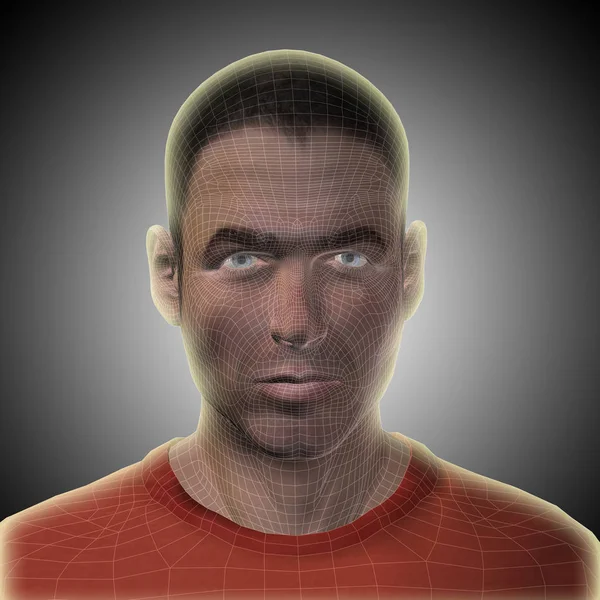 Model szkieletowy młodego ludzkiej twarzy — Zdjęcie stockowe