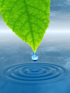 Düşen temiz bahar su damlası