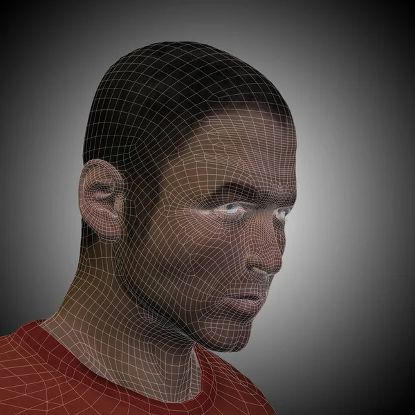 Model szkieletowy młodego ludzkiej twarzy — Zdjęcie stockowe