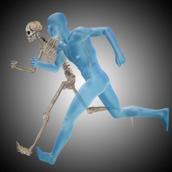 Human with bones for anatomy