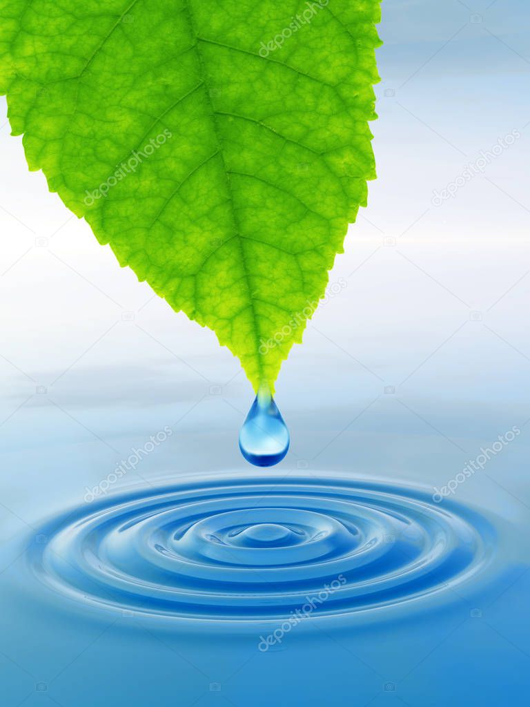 Clean spring water drop falling