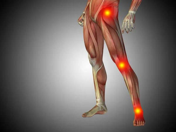 Nižší tělo lidské anatomie — Stock fotografie