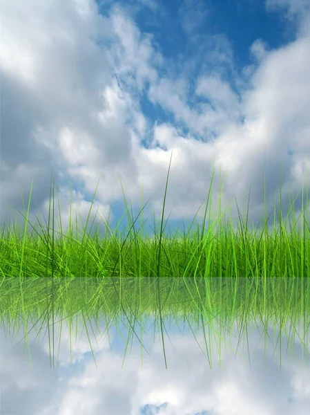Hierba verde y reflexión en el agua — Foto de Stock
