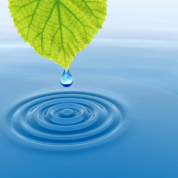 Drop falling from a green fresh leaf — Stock Photo, Image