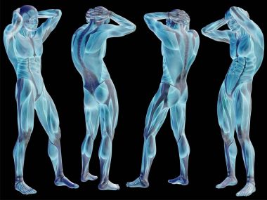 3D insan cesetler illüstrasyon