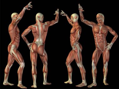3D insan cesetler illüstrasyon