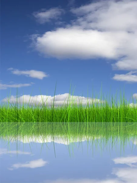 Hierba verde sobre fondo del cielo — Foto de Stock