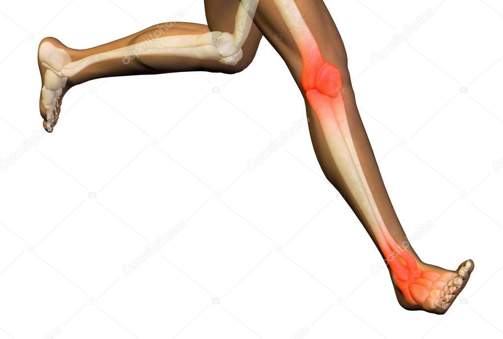 Conceptual 3D illustration human man anatomy health design, joint or articular pain, ache or injury on white background for medical, fitness, medicine, bone, care, hurt, osteoporosis, arthritis body