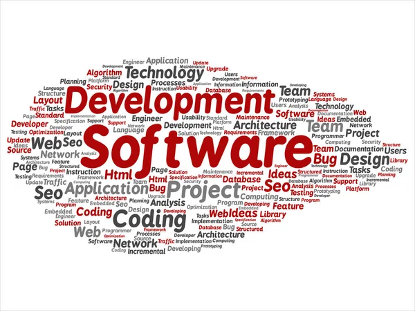 Desenvolvimento de software tecnologia de codificação de projeto nuvem de palavras abstrata —  Vetores de Stock
