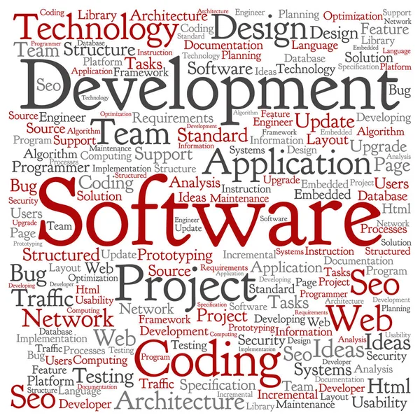 Software ontwikkelingsproject coderen technologie vierkante word cloud — Stockvector