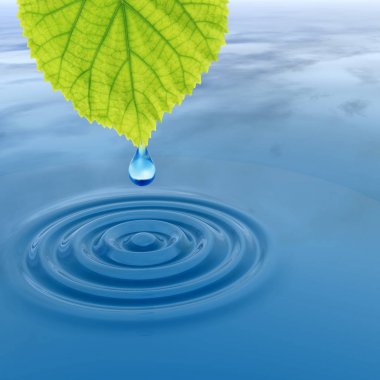 Yüksek çözünürlüklü kavramsal su ya da taze yaprak yeşil dalgalar yapma mavi temiz su üzerinde düşen çiy bırak. Bu kavram ve ekoloji için yaz, ilkbahar, doğa ya da doğal tasarımlar için ideal bir si