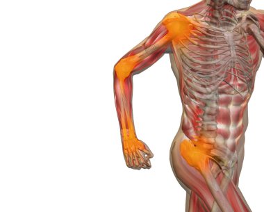 Kavramsal 3d illüstrasyon insan anatomi veya sağlık tasarım, ortak ya da eklem ağrısı, ağrı veya yaralanma için tıbbi, fitness, tıp, kemik, bakım, zarar, osteoporoz, artrit vücut gri arka plan üzerinde